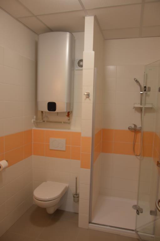 Penzion Havelka Apartmany Железна-Руда Экстерьер фото